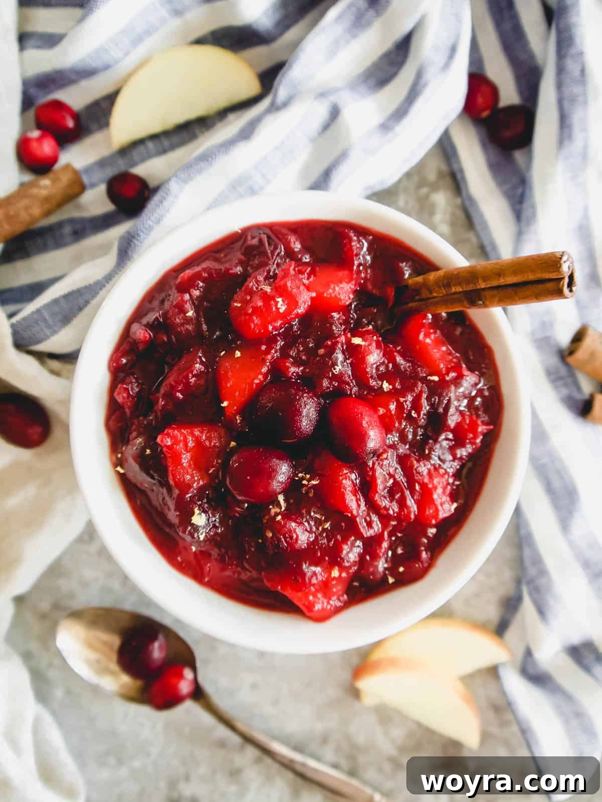 Homemade Cranberry Apple Sauce 8 A close-up of the finished cranberry apple sauce presented in a charming ceramic bowl, subtly spiced with a sprinkle of fresh cinnamon, beautifully showcasing its luscious texture and inviting warmth. Ready to be enjoyed.