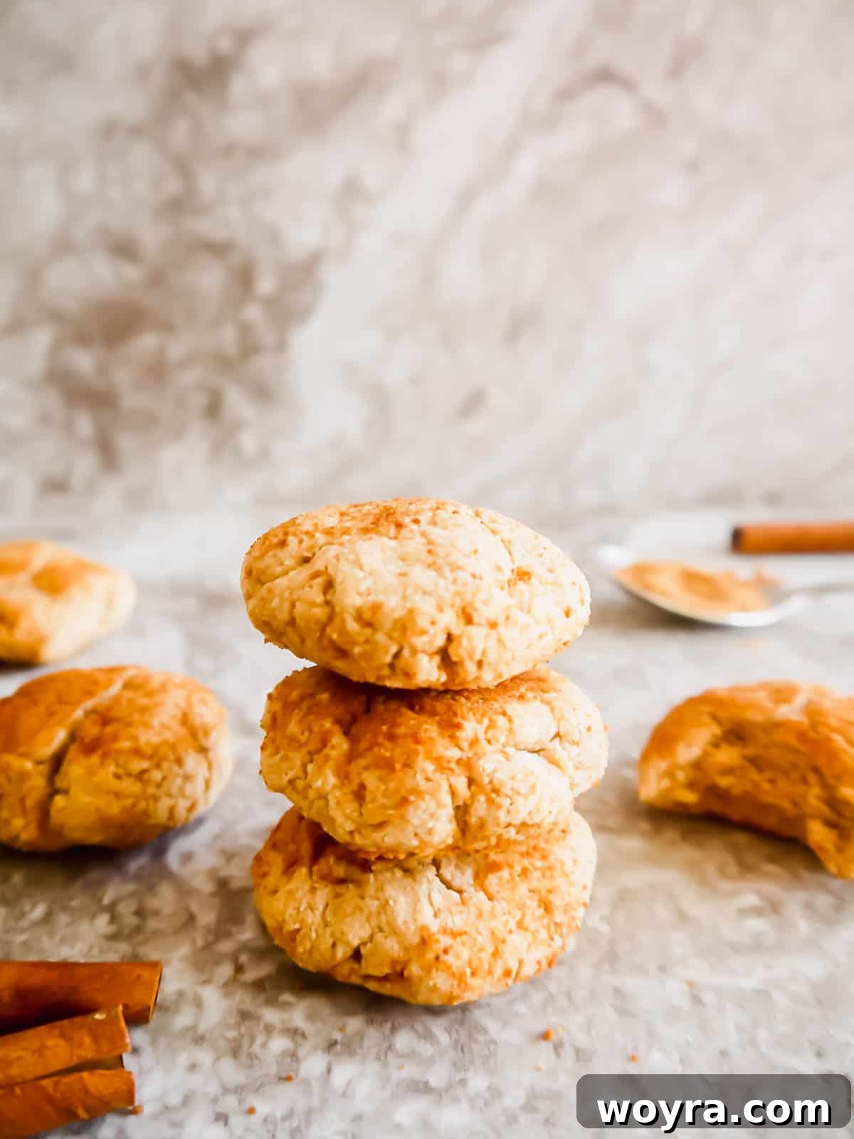 Paleo Snickerdoodle Perfection 3 Grain-free snickerdoodles stacked on top of each other.