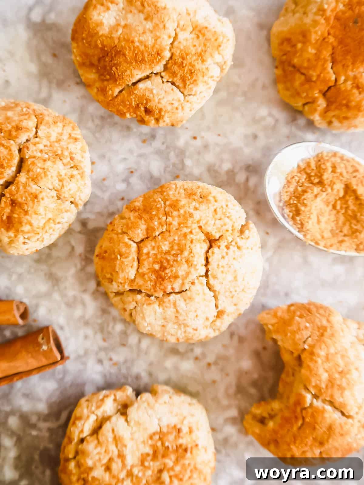 Paleo Snickerdoodle Perfection 4 A plate of gluten-free snickerdoodles made with almond flour.