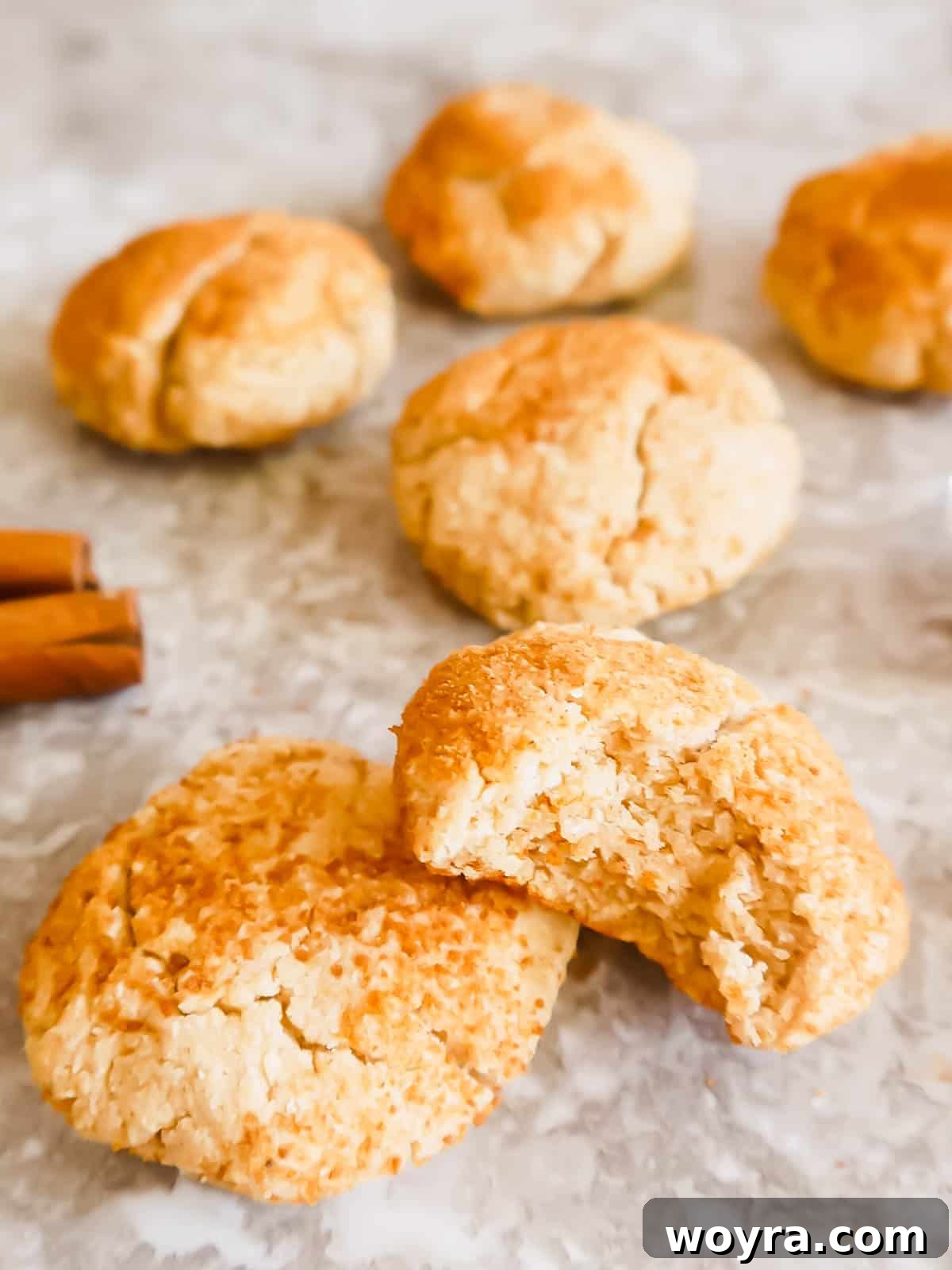 Paleo Snickerdoodle Perfection 5 A bite taken out of a gluten-free snickerdoodle