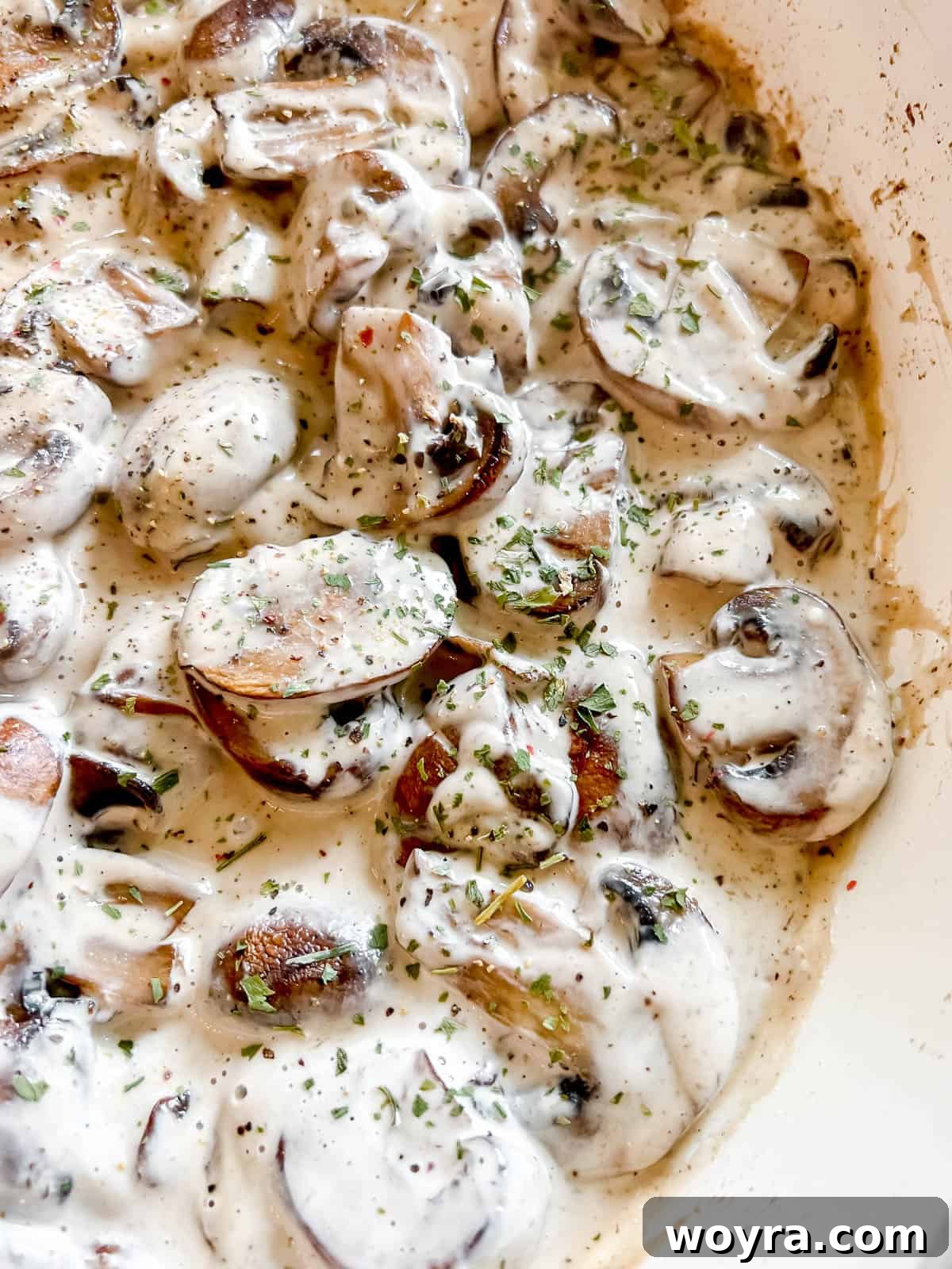 Creamy Vegan Paleo Mushroom Sauce 8 Rich vegan mushroom sauce simmering in a frying pan, ready to be served over a meal.
