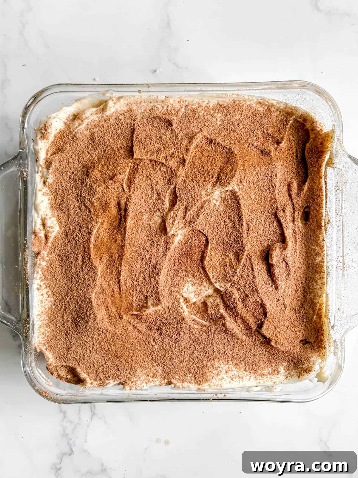 Tropical Coconut Tiramisu 12 Coconut Cream Tiramisu dusted with cocoa powder and cinnamon.