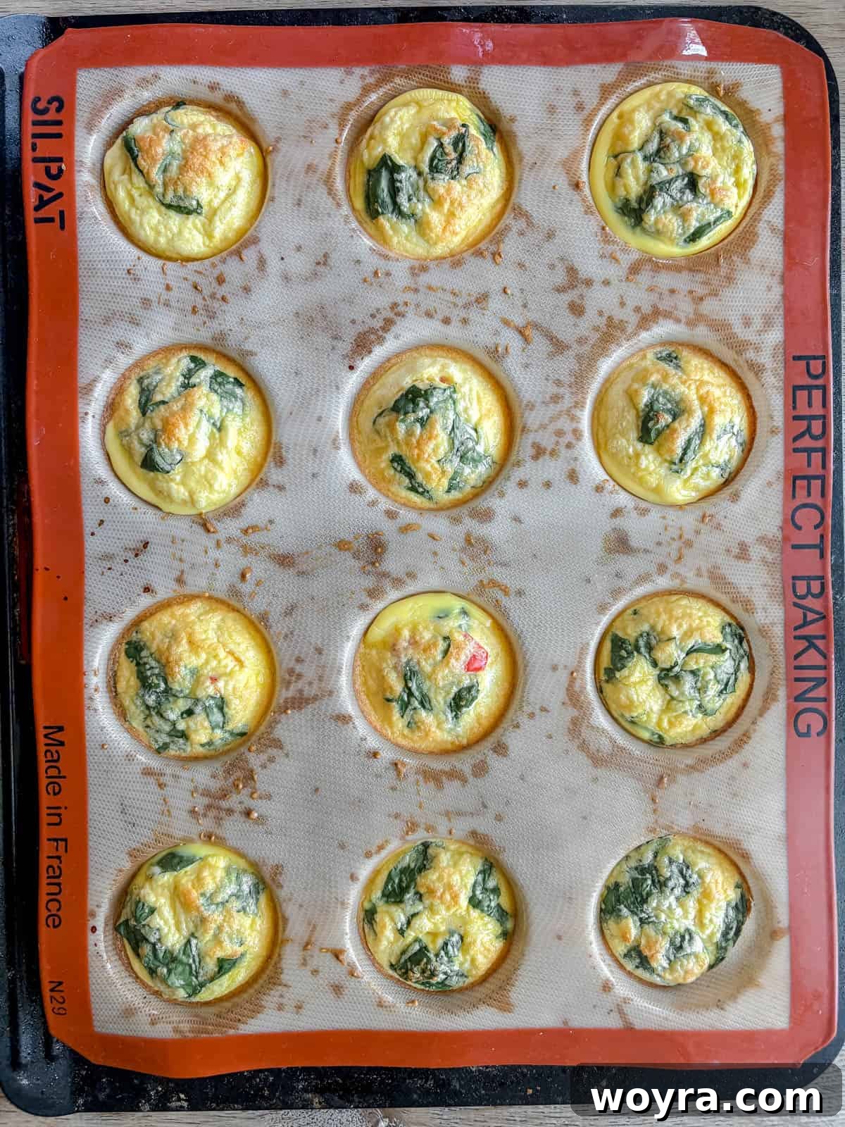 High-Protein Cottage Cheese Egg Bites with Spinach & Pepper 7 Cottage cheese egg bites after cooking.