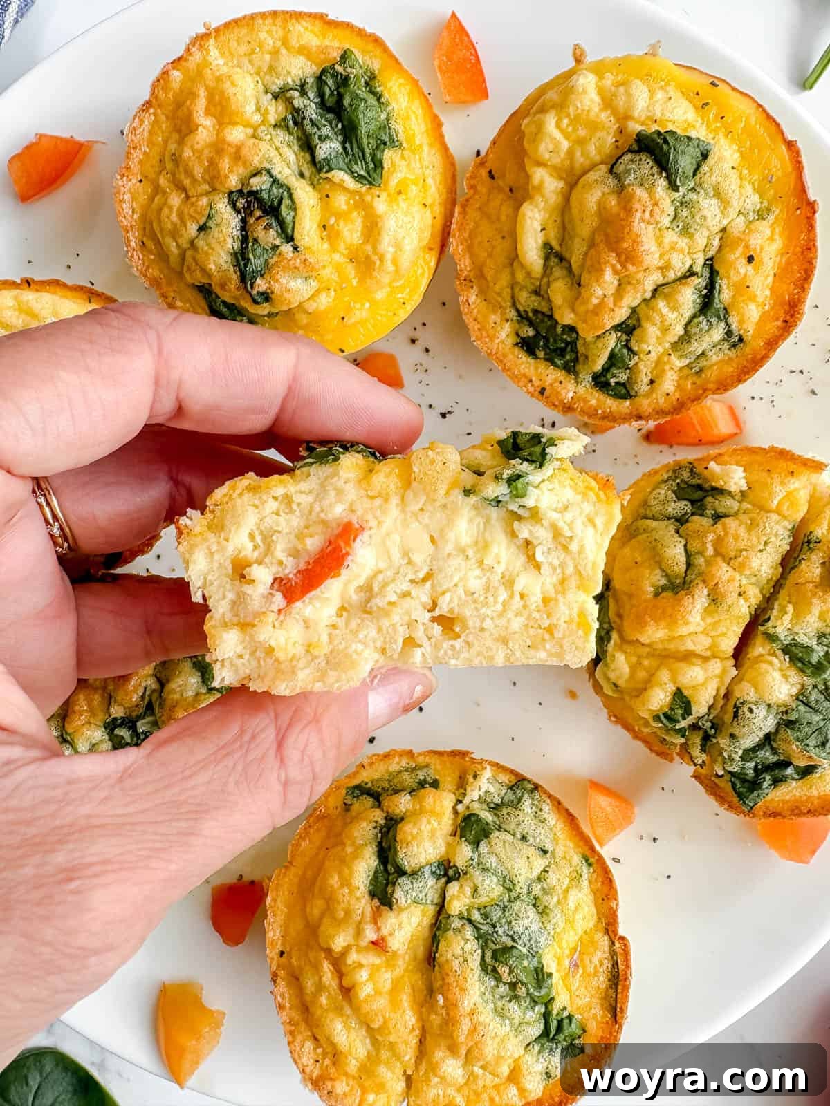 High-Protein Cottage Cheese Egg Bites with Spinach & Pepper 9 High protein egg bites with spinach and red peppers in hand.